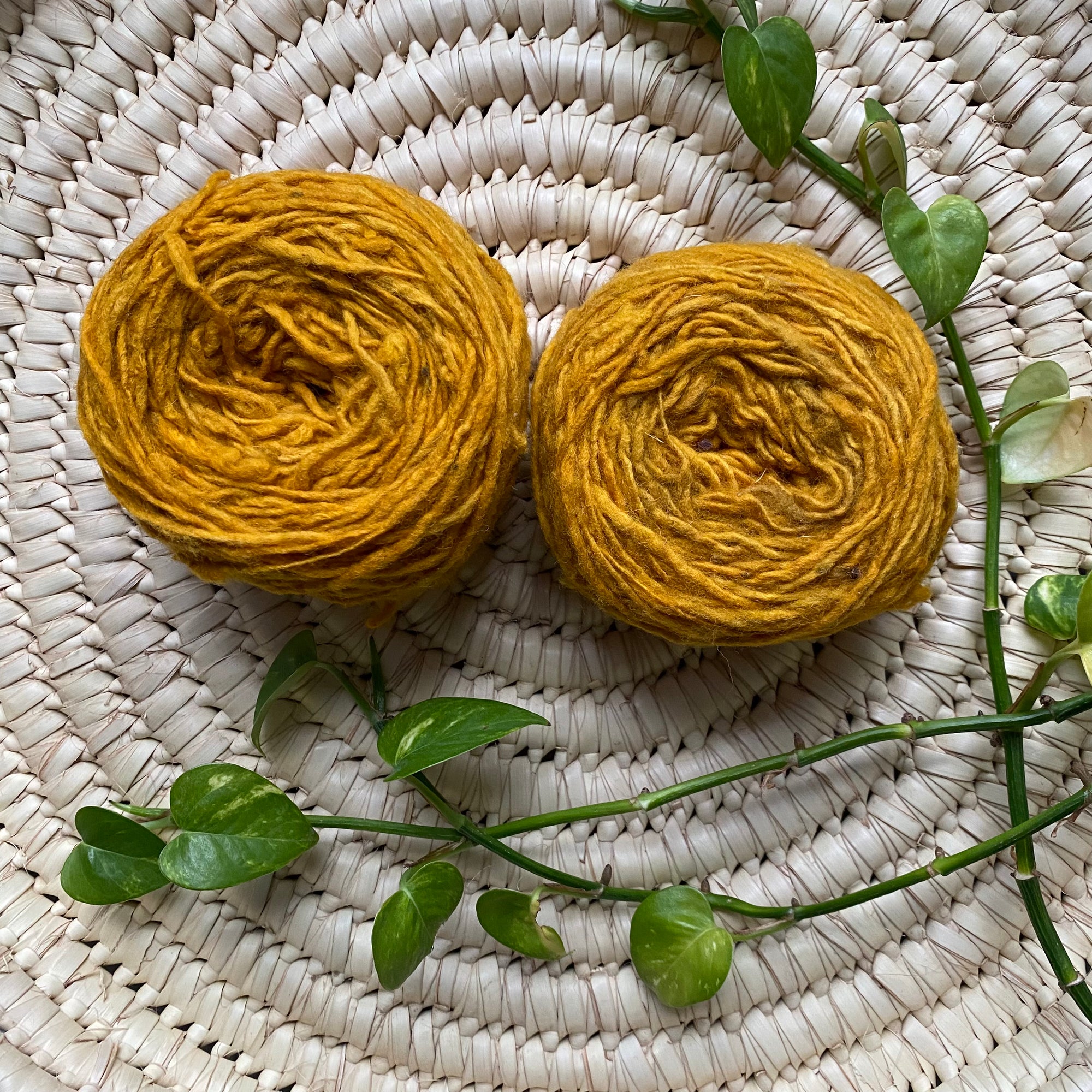 Display of turmeric colored yarn