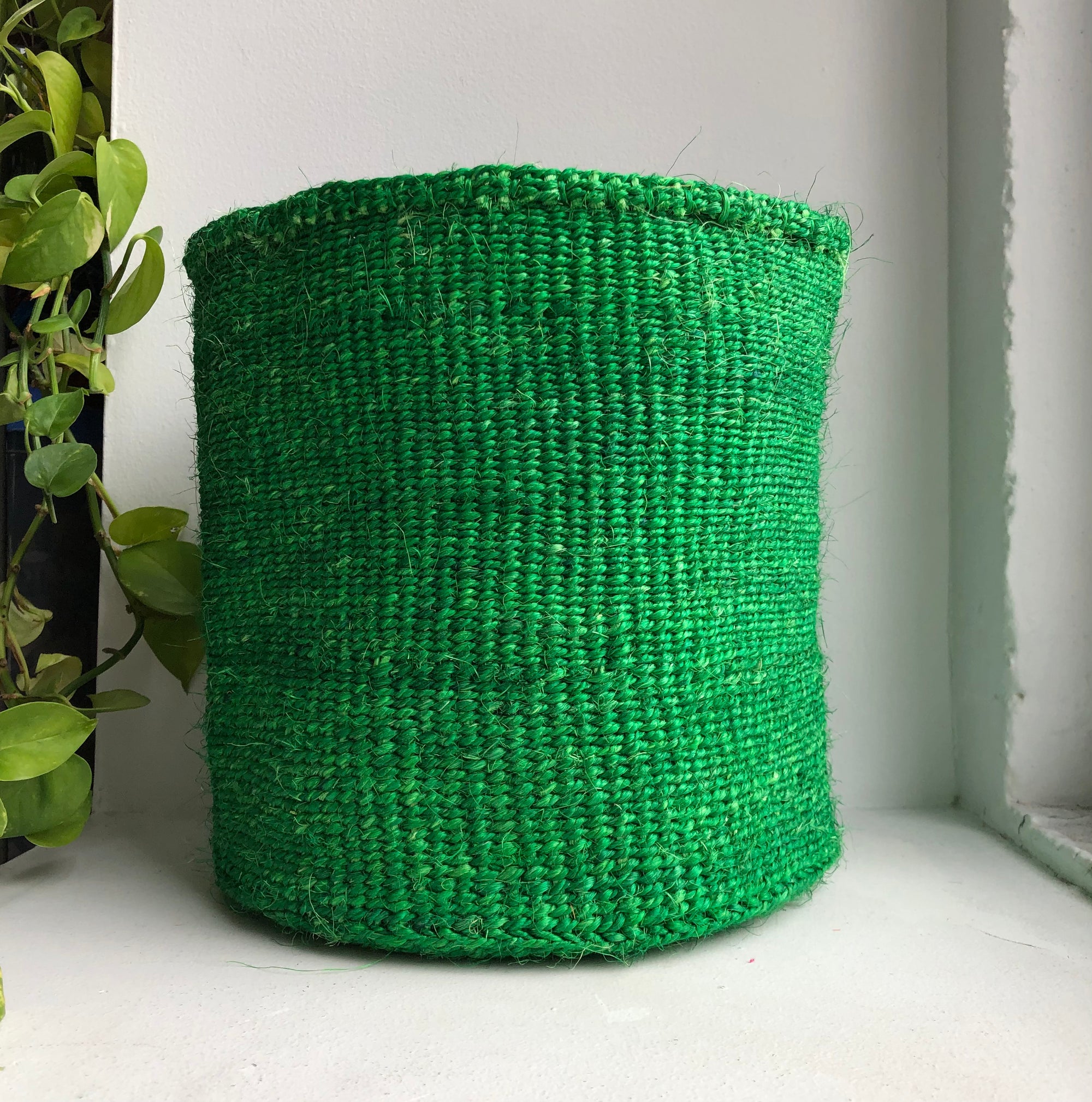 display of 10&quot; green basket